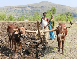 Krishak Panchayat for Sustainable Agriculture